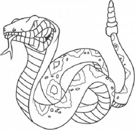 Coloring Pages King Cobra - Kids Colouring Pages