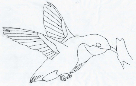 Hummingbird outline by Flock5 on deviantART