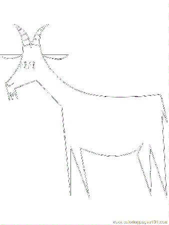 Coloring Pages Color Goat3 (Mammals > Goat) - free printable 