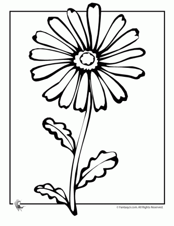 Coloring Daisies — Crafthubs