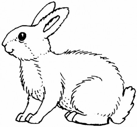 cute+animal+rabbit+coloring+ 