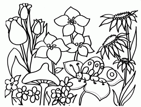 summer coloring pictures to print | Coloring Picture HD For Kids 