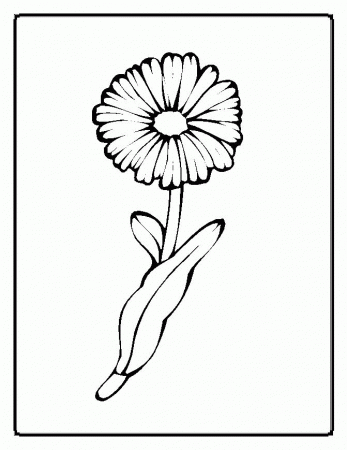 Daisy Coloring Pages - Free Printable Coloring Pages | Free 