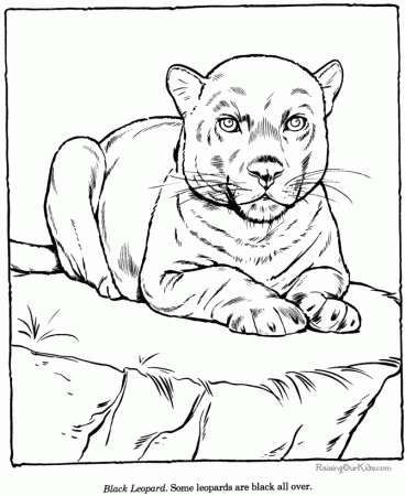 Leopard coloring sheets and pictures