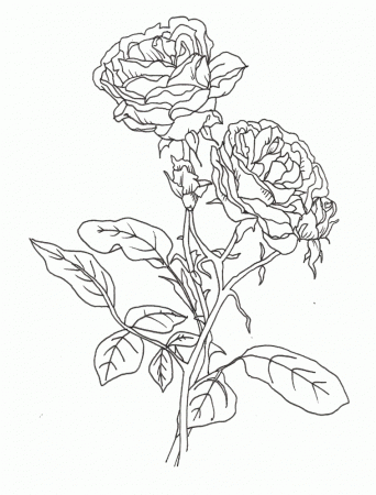 Cute And Beautiful Flower Coloring Page |Flower coloring pages 
