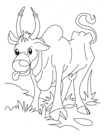 Pin by Best Coloring Pages on Domestic Animals Coloring Pages | Pinte…