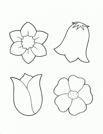Flower Archives -
