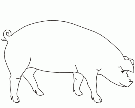 Pig Coloring Page | A Farm Pig
