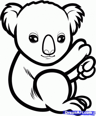 How to Draw a Baby Koala, Baby Koala, Step by Step, Rainforest 