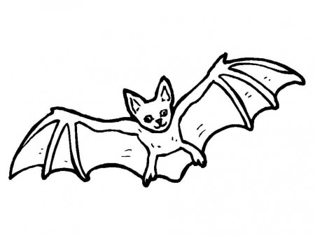 Bat Colouring Page