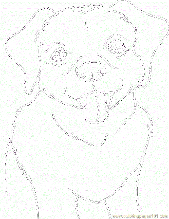 Yellow Lab Colouring Pages