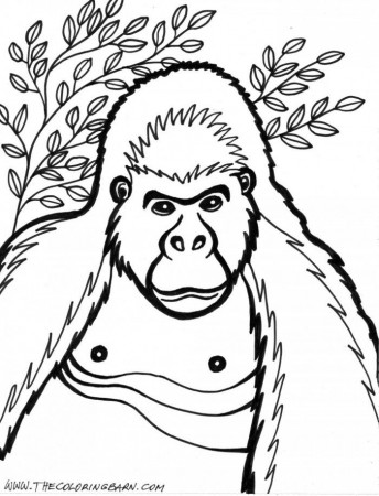 Gorilla Coloring Pages To Print | 99coloring.com
