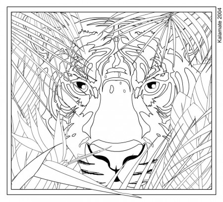 Complicated Coloring Pages