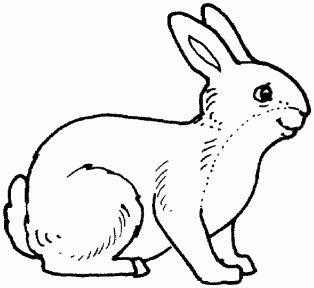 Black and white pictures to color with cartoon and animal coloring 