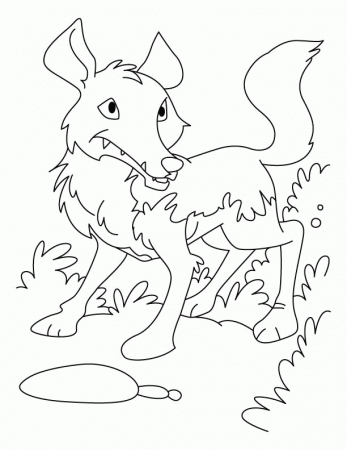 Long-legd wolf coloring pages | Download Free Long-legd wolf 