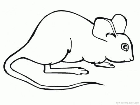 Mouse pictures to print and color | Best Coloring Pages - Free 