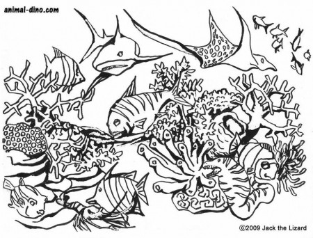 under sea Colouring Pages (page 2)