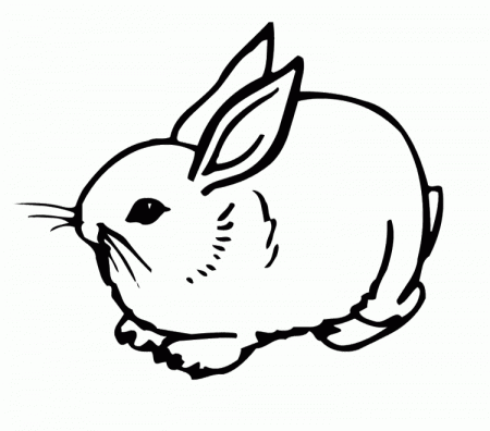 Rabbits Coloring Pages : Adult Rabbit Coloring Page Kids Coloring Art