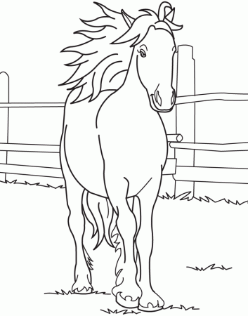 coloring_book_horse_stallion_l 