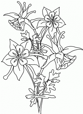 Flowers Coloring Book - Flowers Coloring Pages : Free Online 
