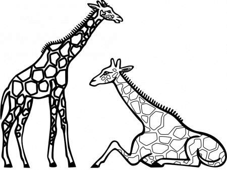 Giraffe Clip Art Black And White | Clipart Panda - Free Clipart Images