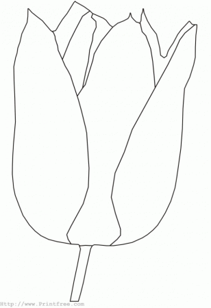 Tulip Coloring Pages