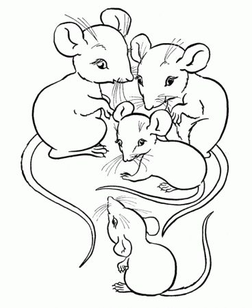 Candy Coloring Pages For Kids | Coloring Pages For Child | Kids 