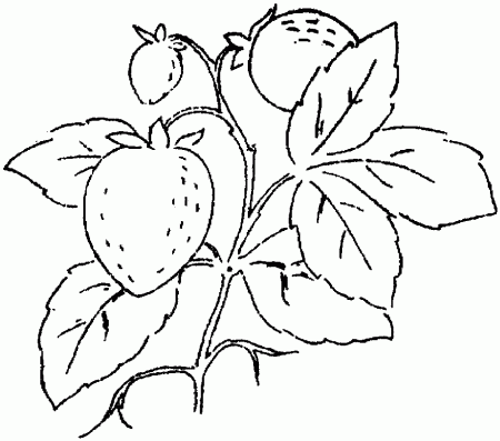 Strawberry 15 Coloring Pages | Free Printable Coloring Pages 