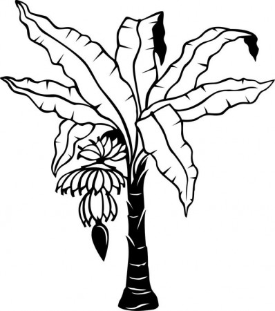 banana tree leaf template Colouring Pages (page 3)