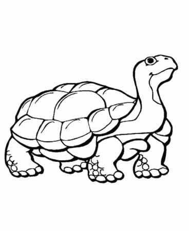 Coloring Pages To Print Animals | Animal Coloring Pages | Kids 