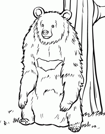 book bear Colouring Pages