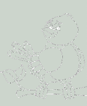 A Very Arrogant Birds Coloring Pages - Birds Coloring Pages 