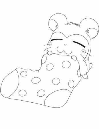 Cute Hamster in a Sock Coloring Page | Kids Coloring Page