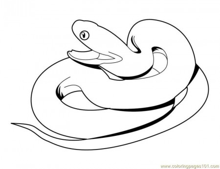 Animal Coloring Here Are Some Great Snake Coloring Pages To Help 