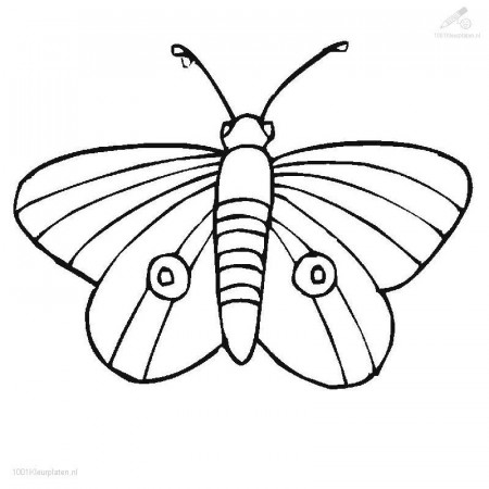 Butterfly coloring pages | Butterfly coloring pages for kids | #8 