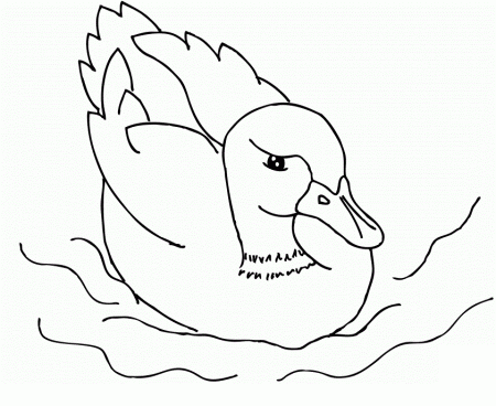 Duck Coloring Pages For Kids - Free Coloring Pages For KidsFree 