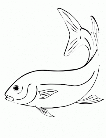 Ocean Animal Coloring Pages Color Plate Sheetprintable Id 8468 