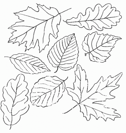 great fall leaf outlines! | Thanksgiving