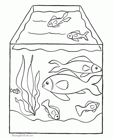 Cute Animals Coon Fish Coloring Pages 900 X 539 78 Kb Jpeg 