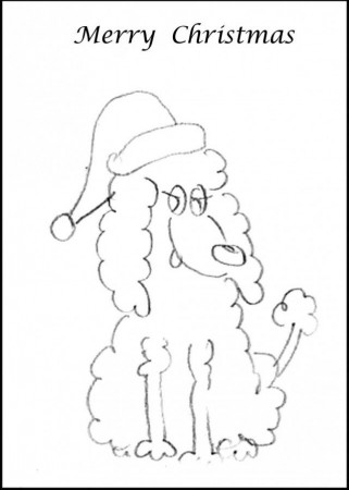 Standardpoodle Coloring Pages 254181 Poodle Coloring Pages