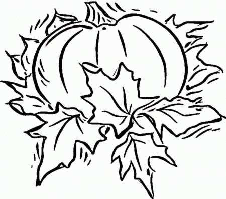 Blank Pumpkin Coloring Pages | Free coloring pages
