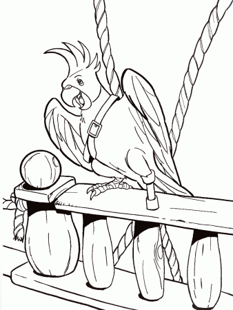 pirates parrot Colouring Pages