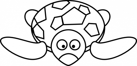 Cartoon Turtle Black White Line Coloring Sheet Colouring Page 