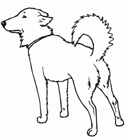 Image - Dog Coloring Page.gif - Dungeons and Dragons Wiki