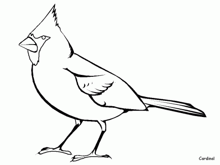 3019 ide coloring-pages-cardinal-5 Best Coloring Pages Download