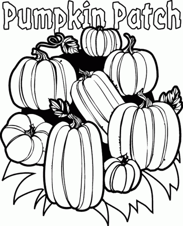 transmissionpress: Pumpkin Patch Coloring Page