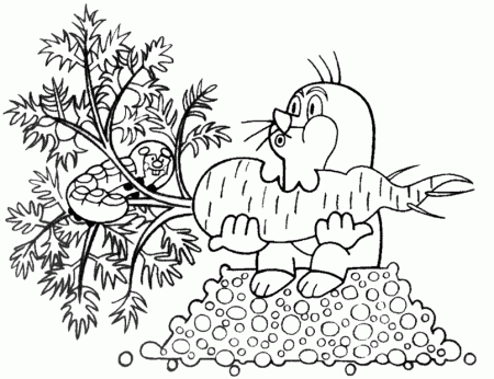 coloring books The Mole and the Carrots to print and free download
