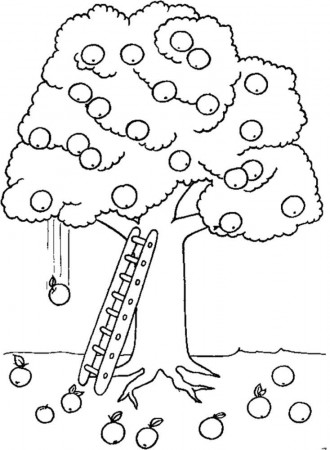 Apple Tree Ready For Harvest Coloring For Kids - Tree Coloring 