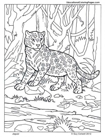 Coloring Page Jaguar Img 2014 | Sticky Pictures