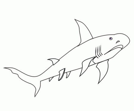 Do Not Appear When Printed Only The Shark Coloring Page Will Print 